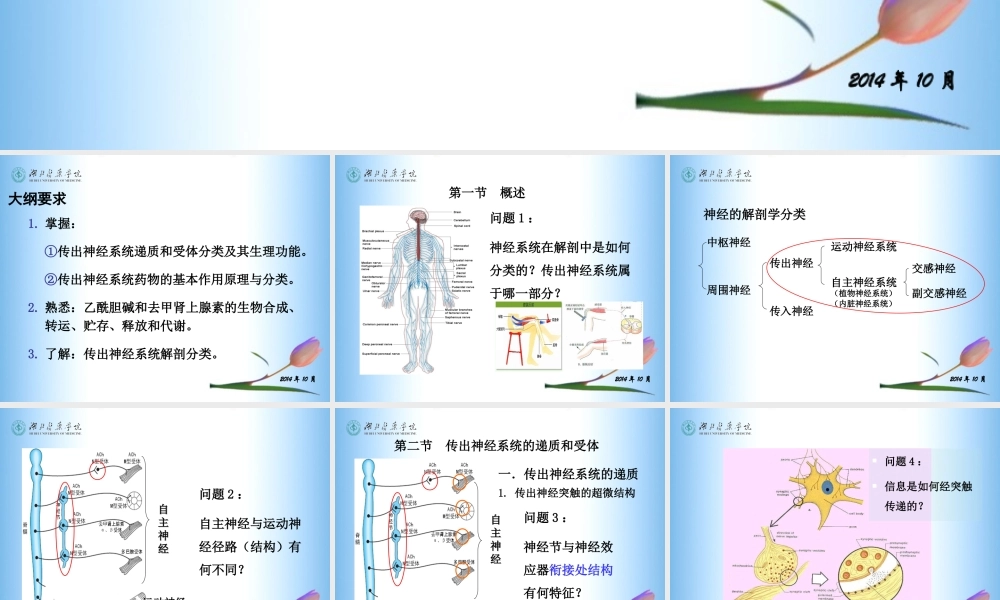 传出神经系统药理(5-7章).ppt