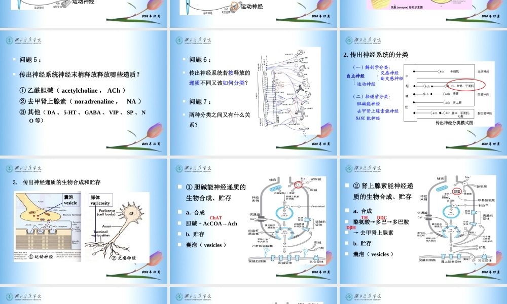 传出神经系统药理(5-7章).ppt