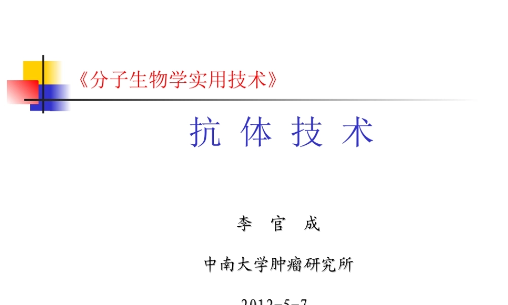 HGPRT---、TK---杂交瘤细胞Ig---、HGPRT.ppt