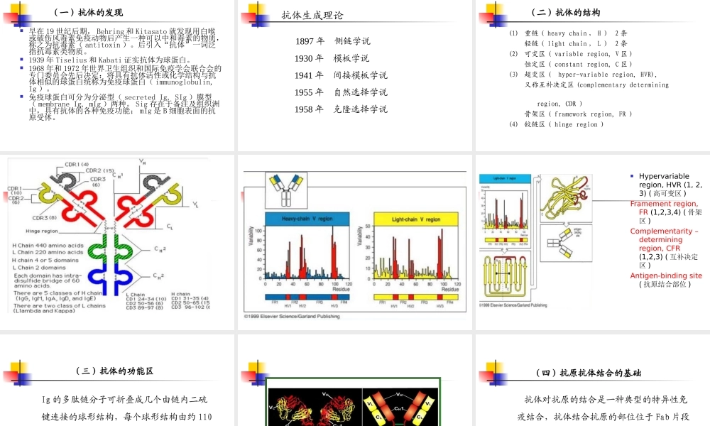HGPRT---、TK---杂交瘤细胞Ig---、HGPRT.ppt