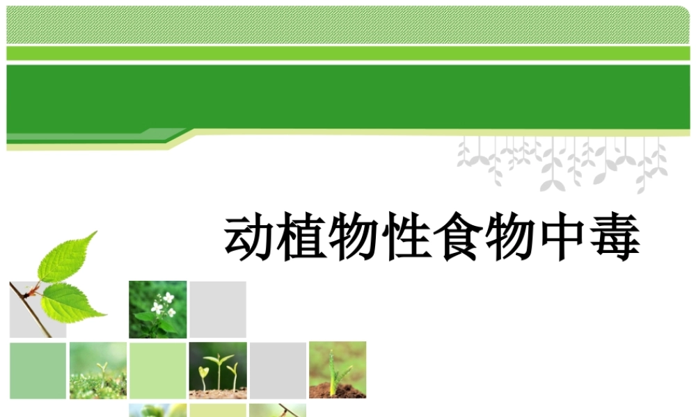 动植物性食物中毒.ppt