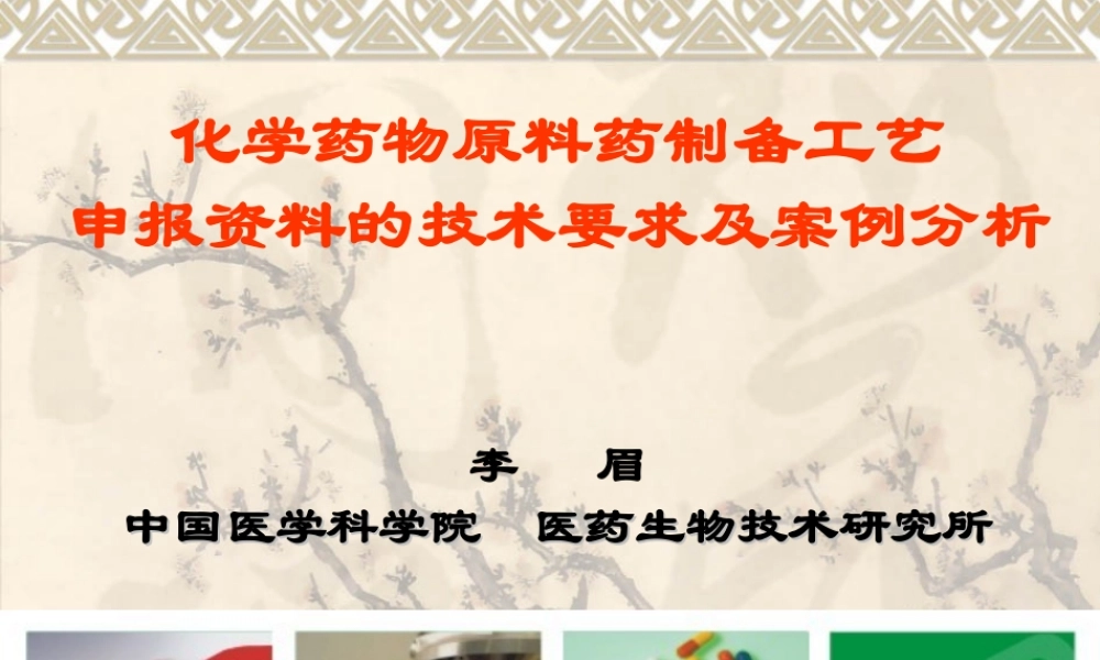 原料药申报资料技术要求.ppt