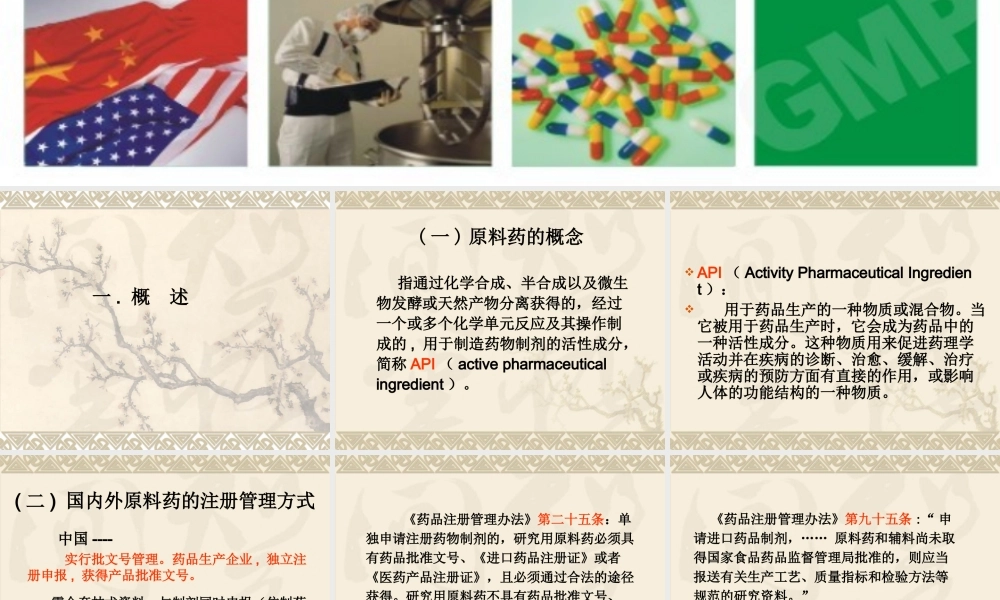 原料药申报资料技术要求.ppt