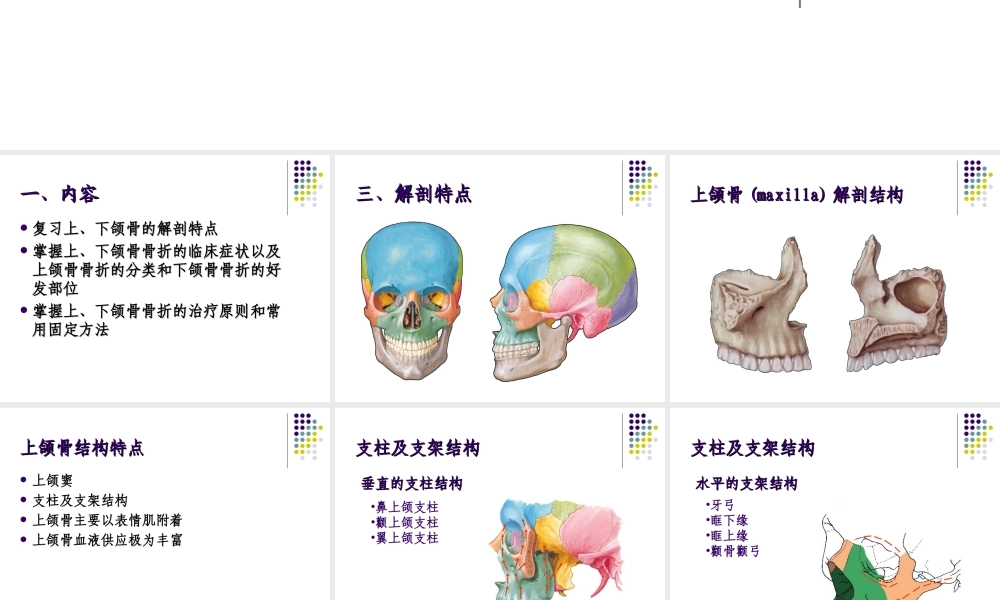 口腔颌面外科-颌骨骨折.ppt