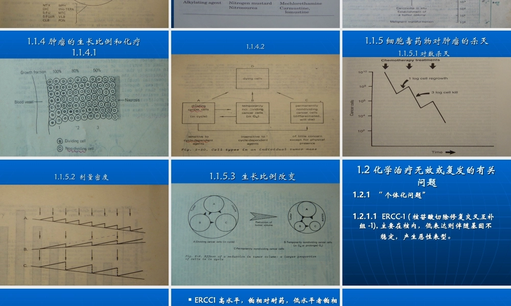 实体癌化疗基础知识.ppt