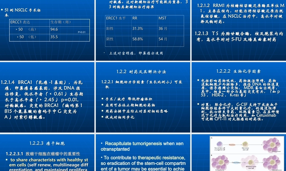 实体癌化疗基础知识.ppt