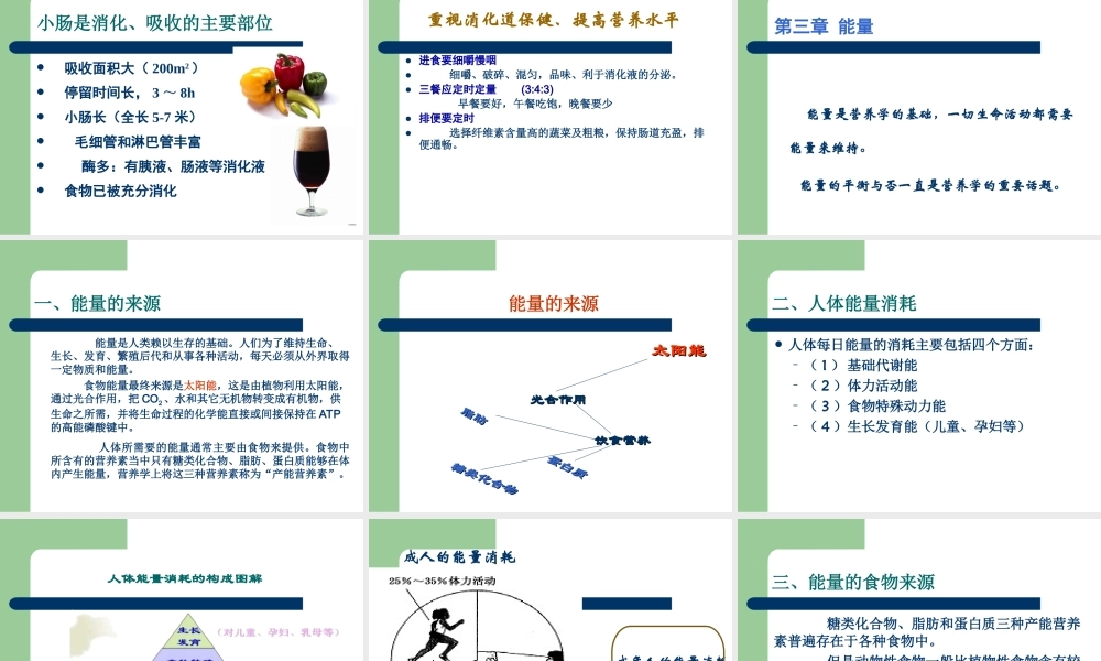 果蔬营养与健康11-总复习.ppt