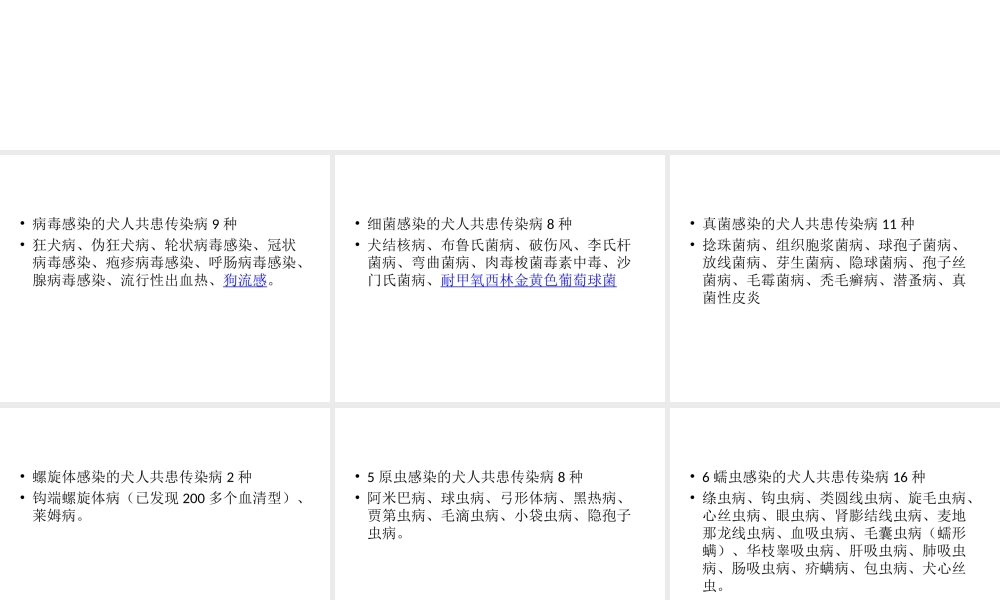 犬人共患传染病.ppt