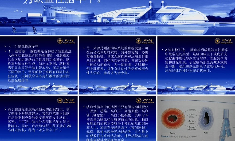 循环系统--脑卒中.ppt