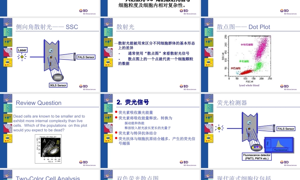 流式细胞术基本原理及应用.ppt