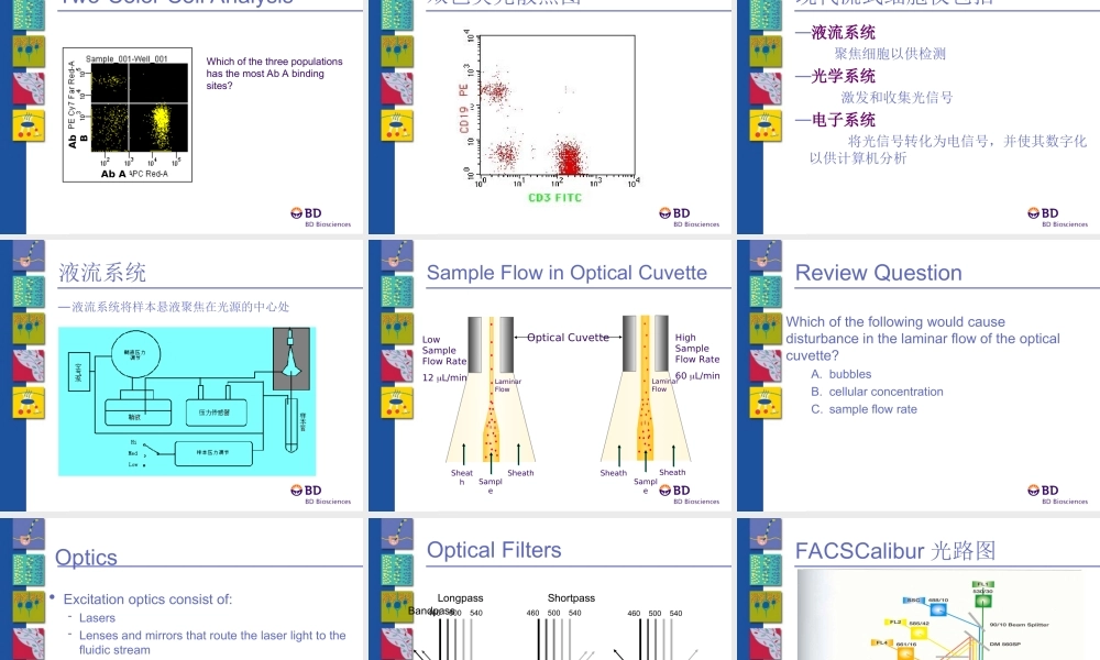 流式细胞术基本原理及应用.ppt