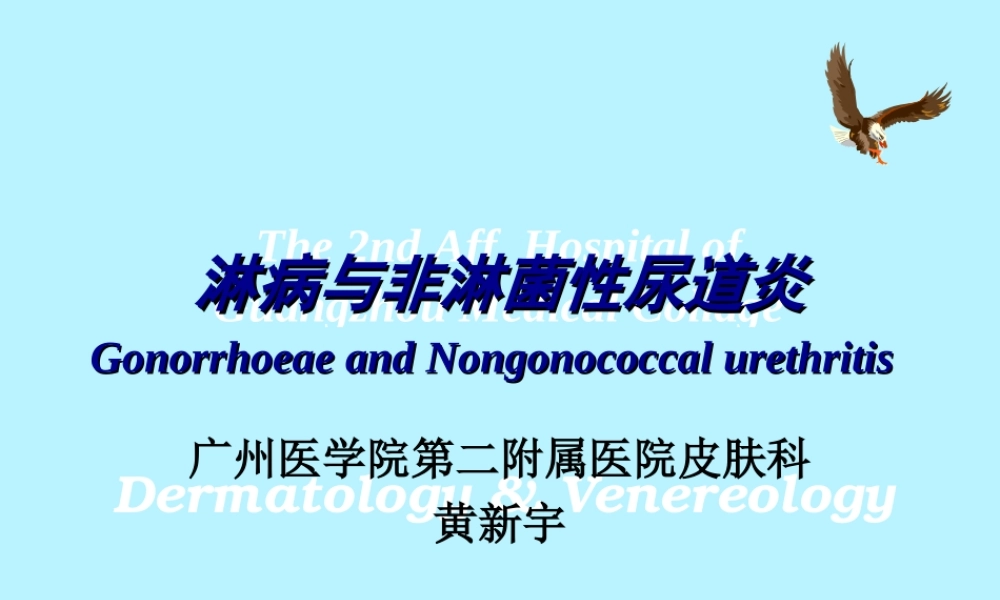 淋病与非淋菌性尿道炎.ppt