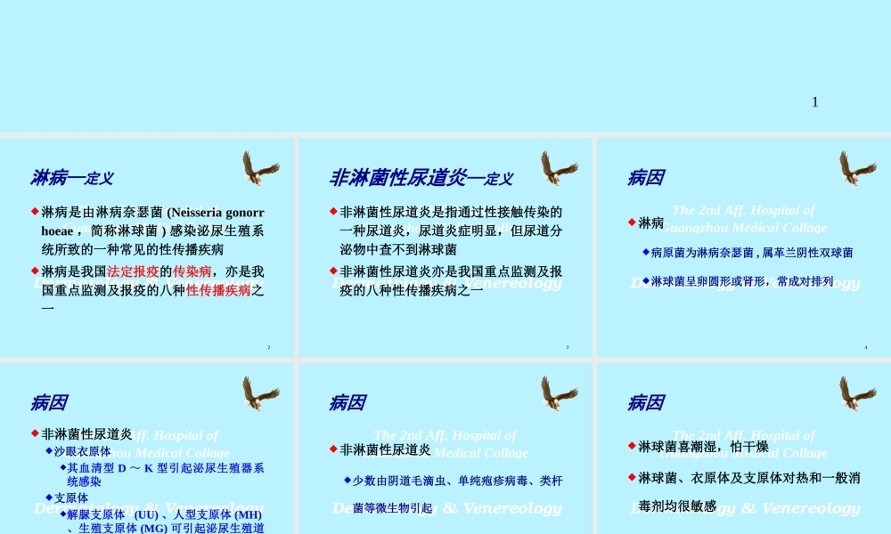 淋病与非淋菌性尿道炎.ppt