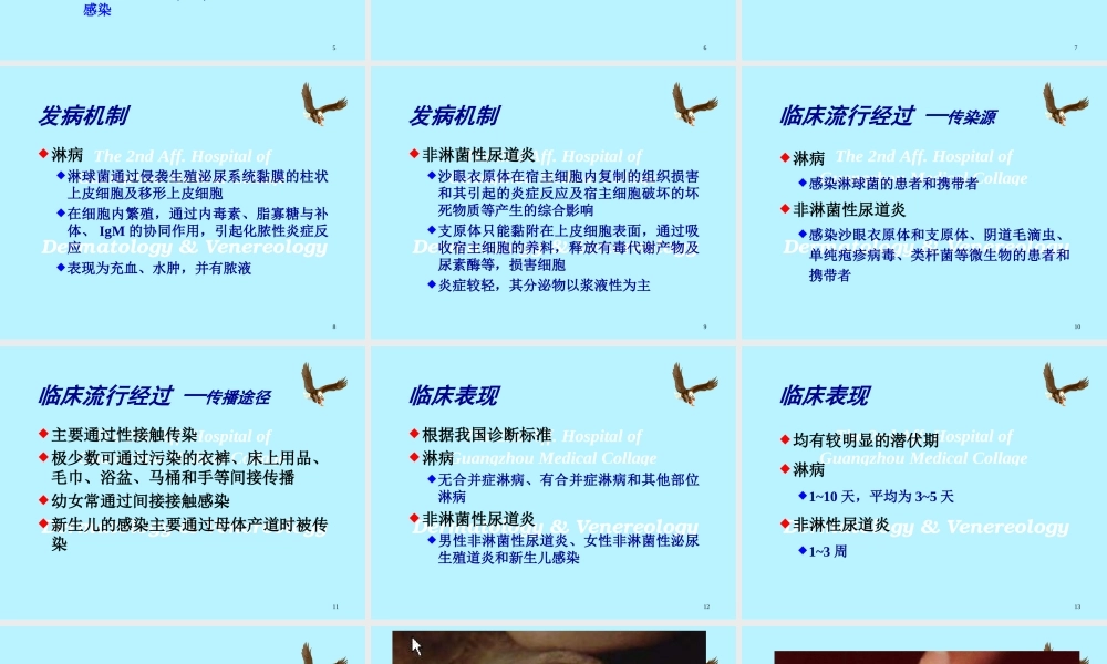 淋病与非淋菌性尿道炎.ppt