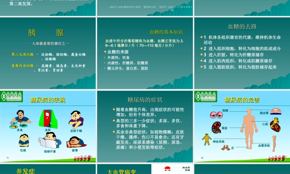 糖尿病健康知识讲座.ppt2222.ppt