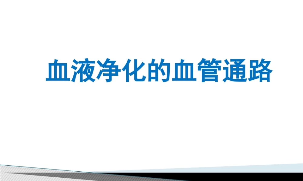 血液净化血管通路.pptx
