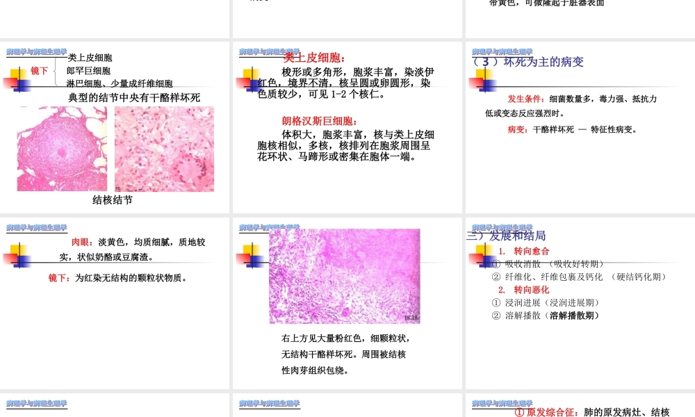 传染病与寄生虫病.ppt