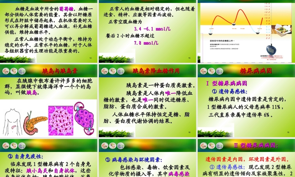 糖尿病防治“五驾马车”.ppt