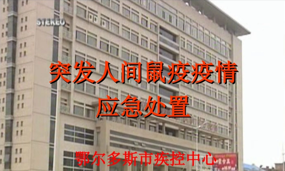 鼠疫突发事件应急处置.ppt