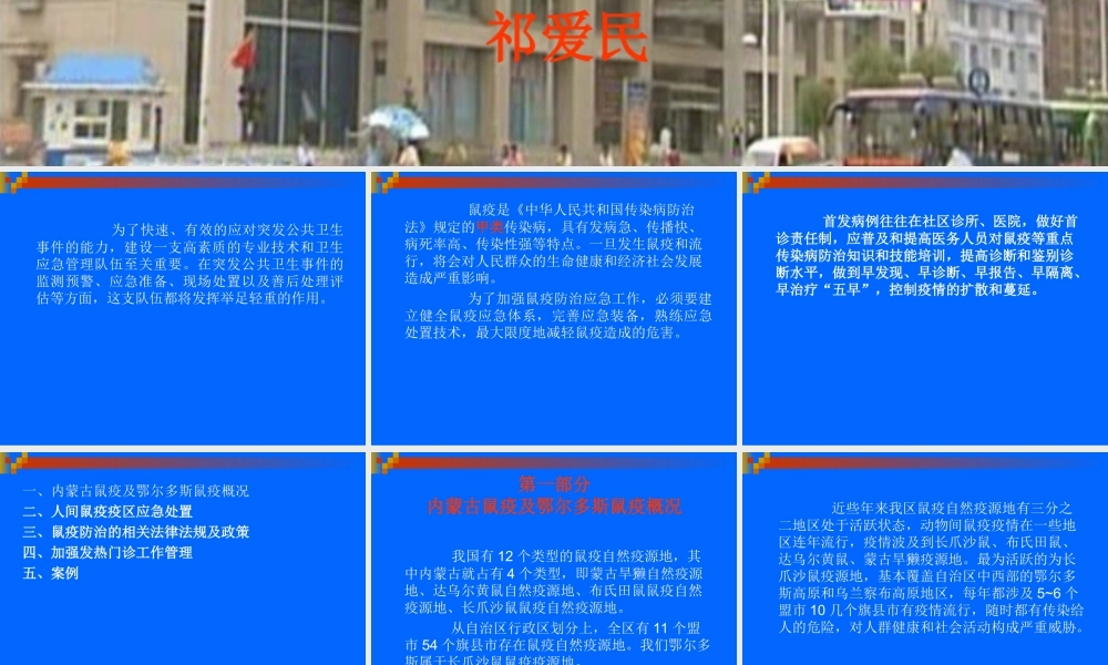 鼠疫突发事件应急处置.ppt