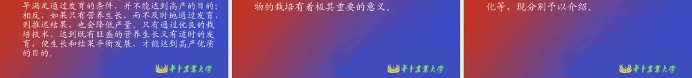 瓜类蔬菜栽培生理.ppt
