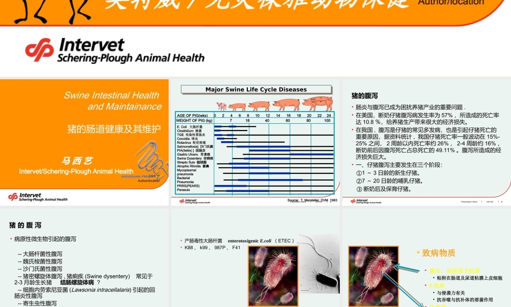 猪的肠道健康及其维护.ppt