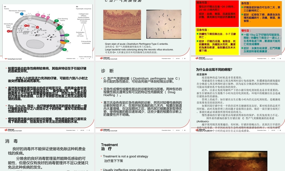猪的肠道健康及其维护.ppt