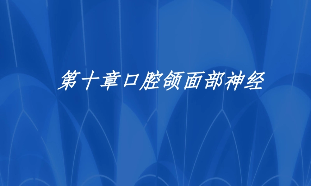 口腔医师3神经.ppt