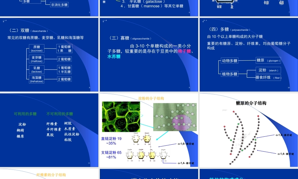 食品营养与卫生-碳水化合物-能量.ppt