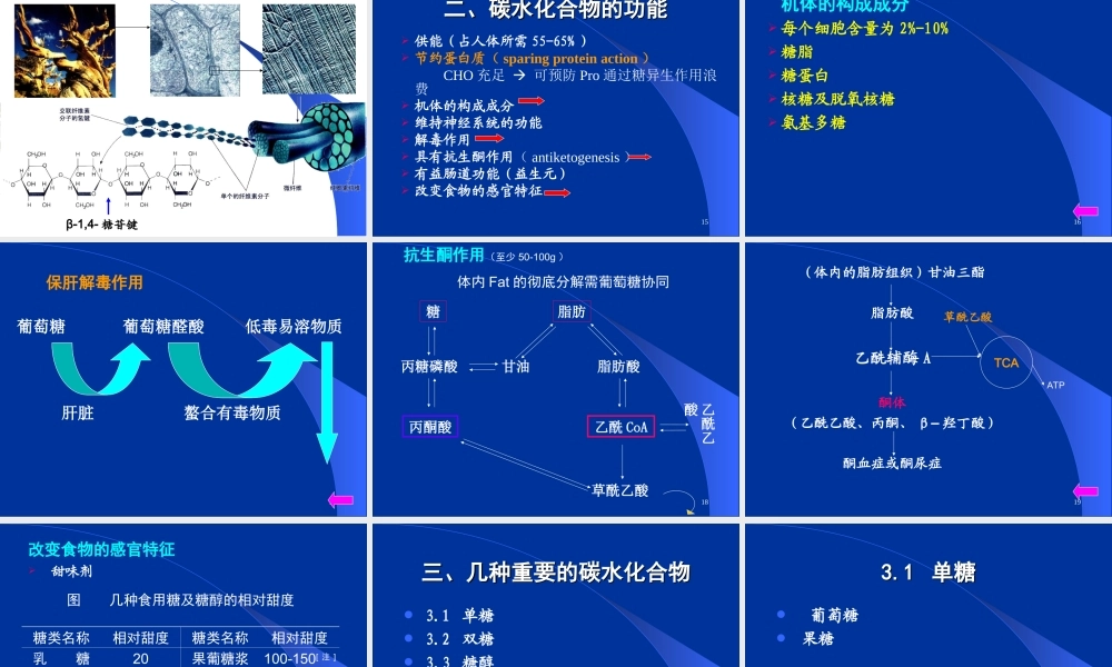 食品营养与卫生-碳水化合物-能量.ppt