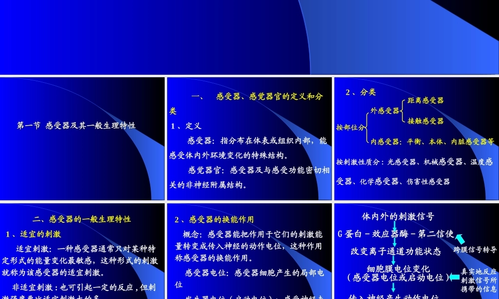 只有视锥细胞.ppt