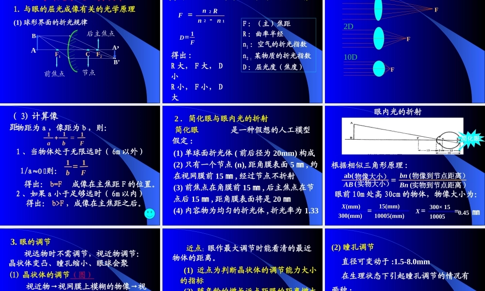 只有视锥细胞.ppt