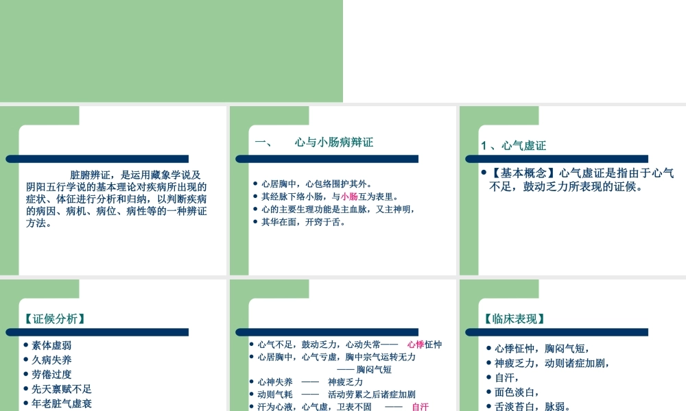 9.3第九章第三节脏腑辨证.ppt