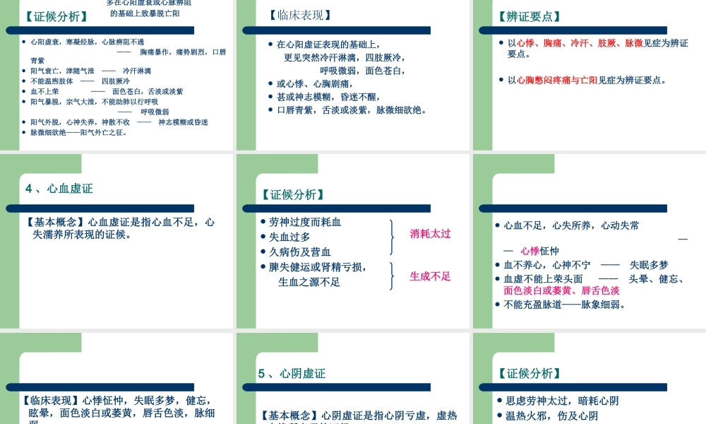 9.3第九章第三节脏腑辨证.ppt