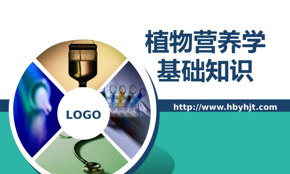 植物营养学基础知识1025.ppt