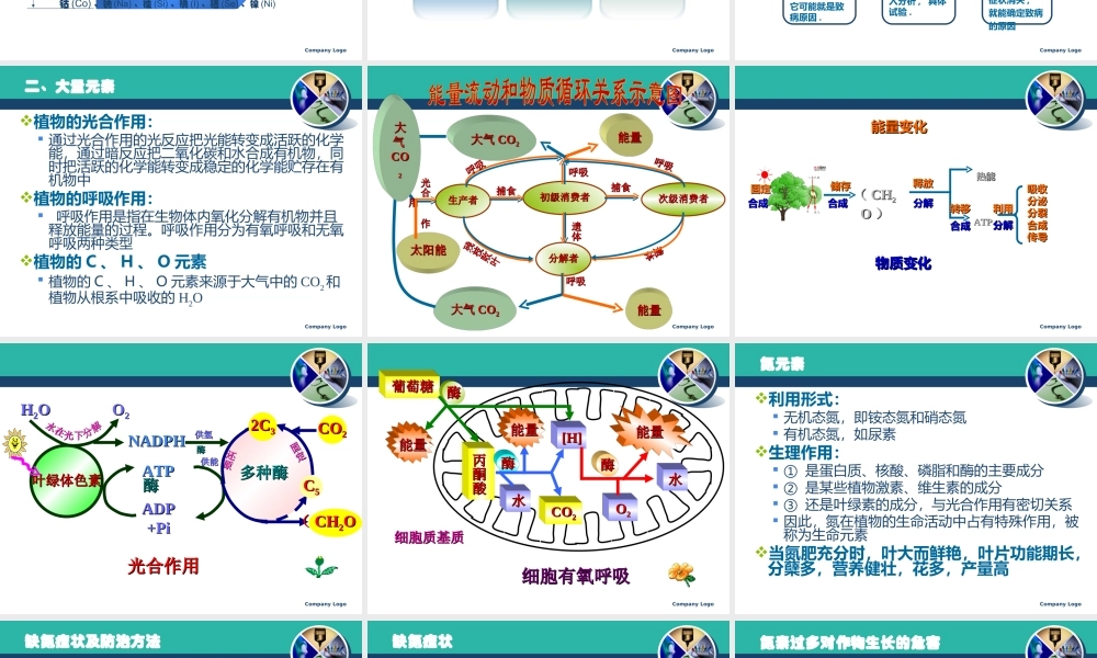 植物营养学基础知识1025.ppt