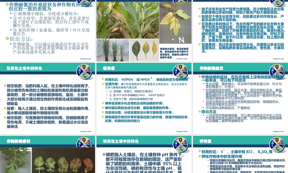 植物营养学基础知识1025.ppt