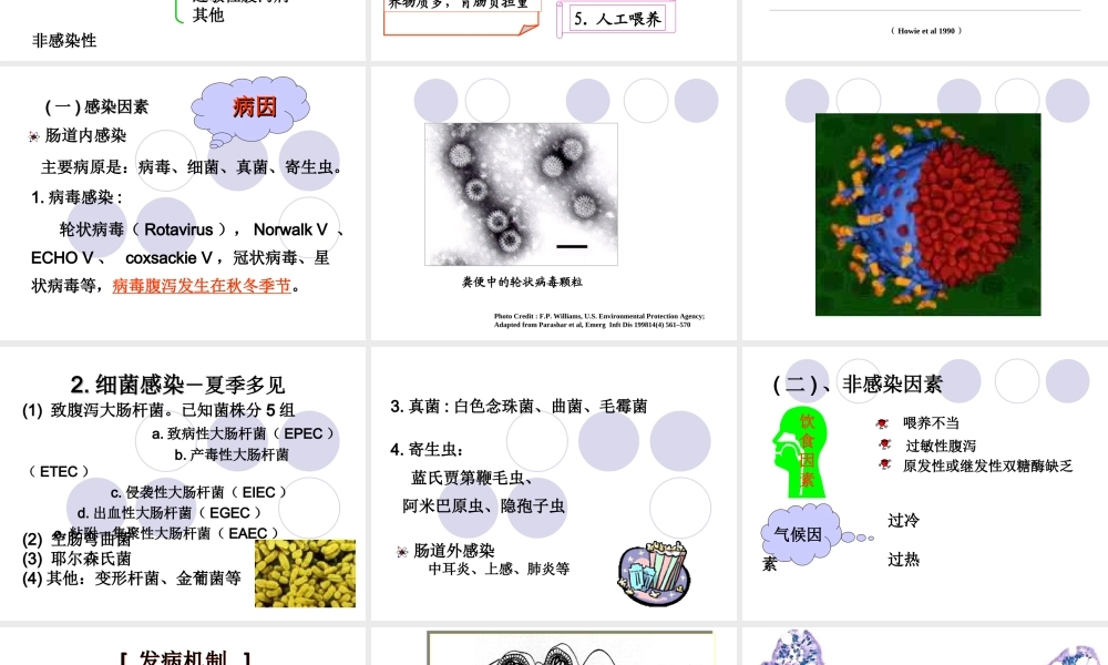 婴儿腹泻、液体疗法.ppt