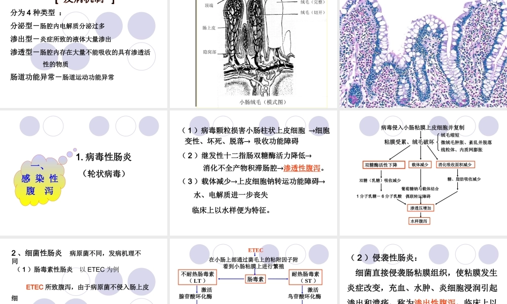 婴儿腹泻、液体疗法.ppt