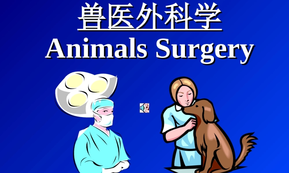 毛细血管前括约肌.ppt