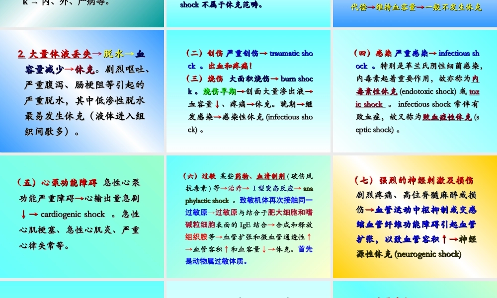 毛细血管前括约肌.ppt