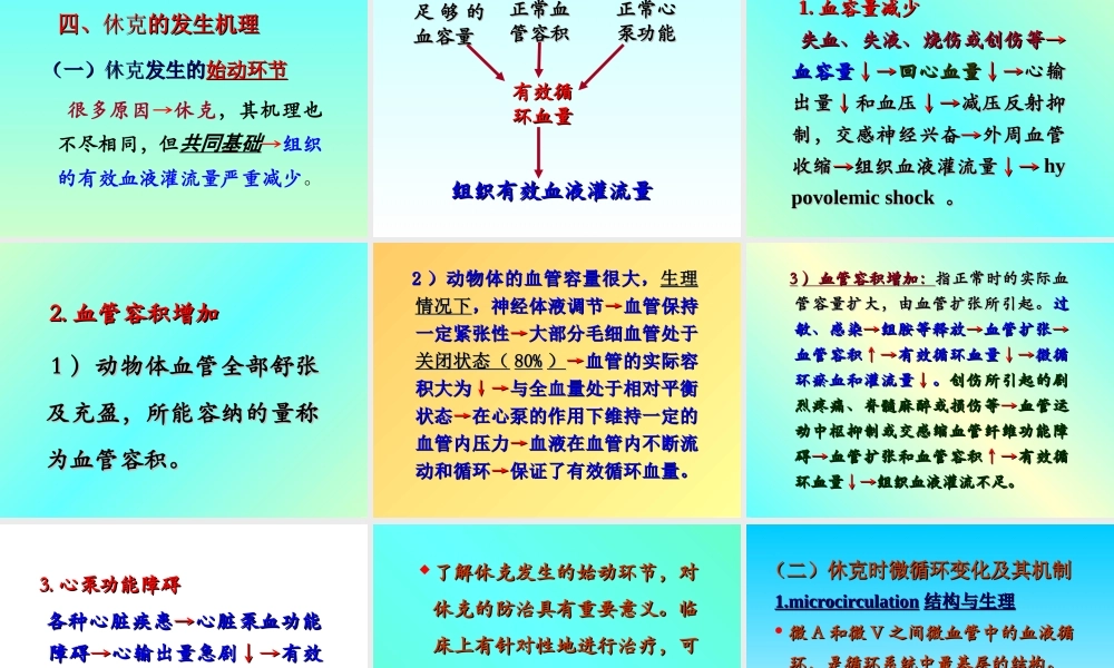 毛细血管前括约肌.ppt