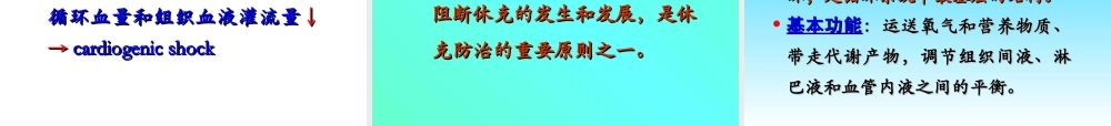 毛细血管前括约肌.ppt