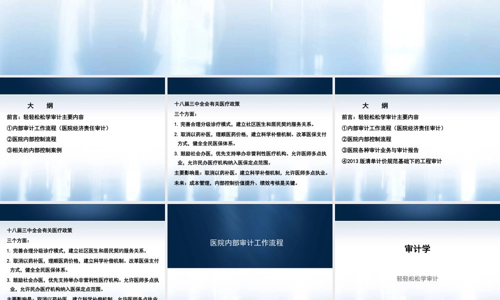 丁朝霞-医院内部审计工作流程、内部控制审计流程相关内部控制典型案例.ppt