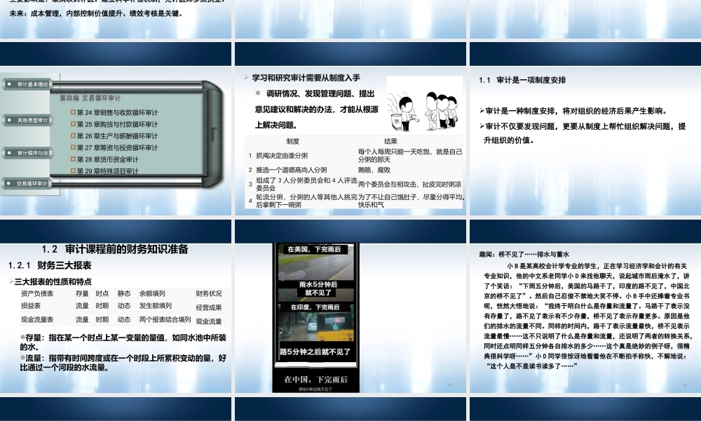 丁朝霞-医院内部审计工作流程、内部控制审计流程相关内部控制典型案例.ppt