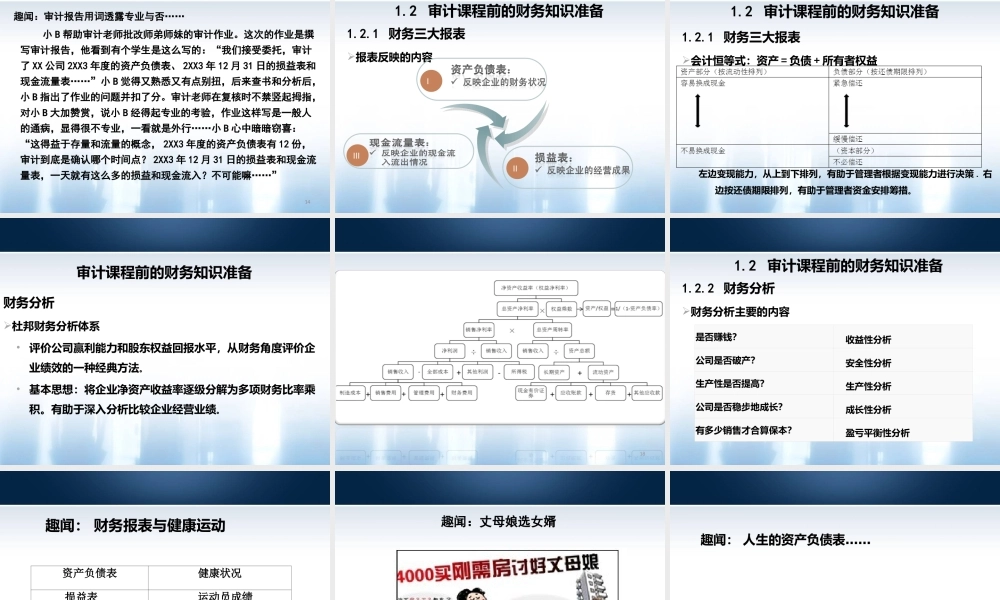 丁朝霞-医院内部审计工作流程、内部控制审计流程相关内部控制典型案例.ppt