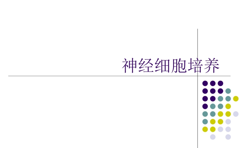 神经细胞培养2.ppt
