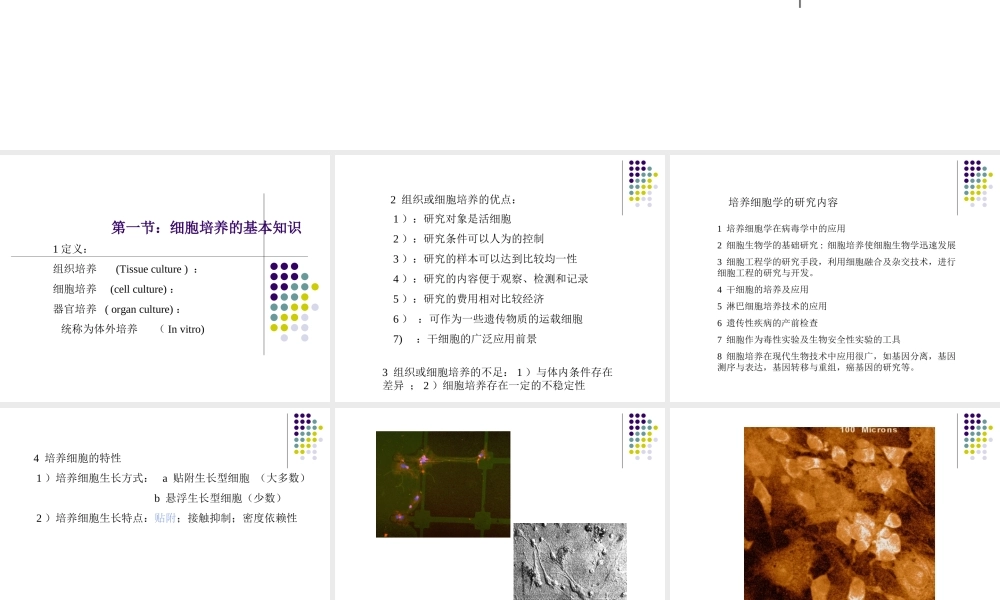 神经细胞培养2.ppt