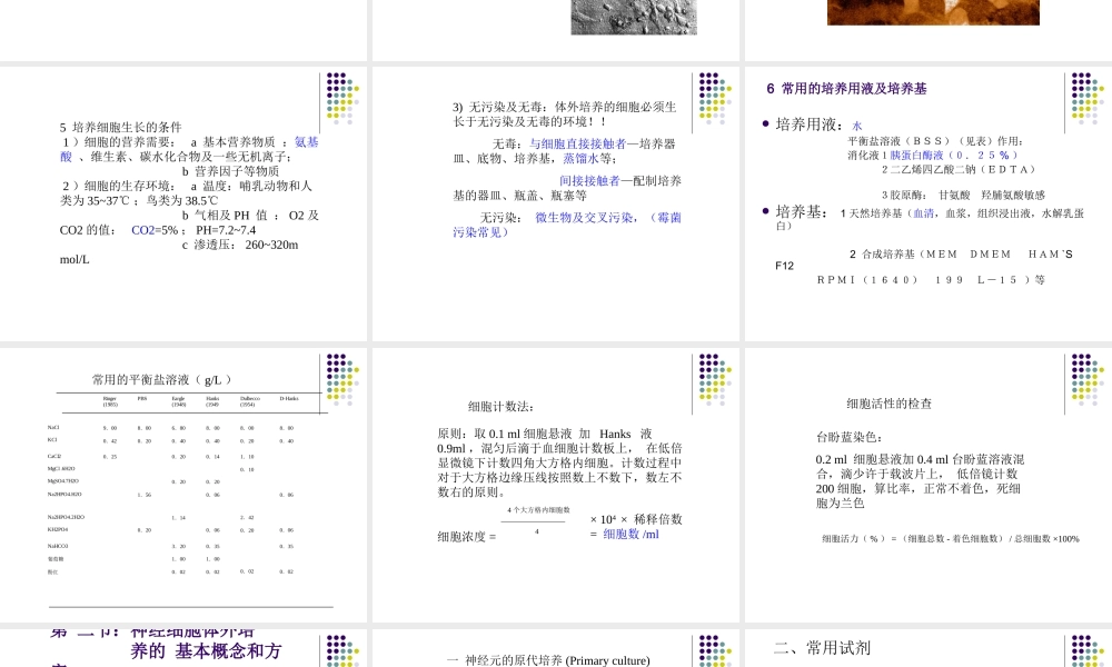 神经细胞培养2.ppt