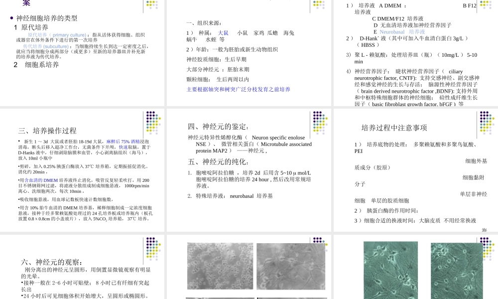 神经细胞培养2.ppt